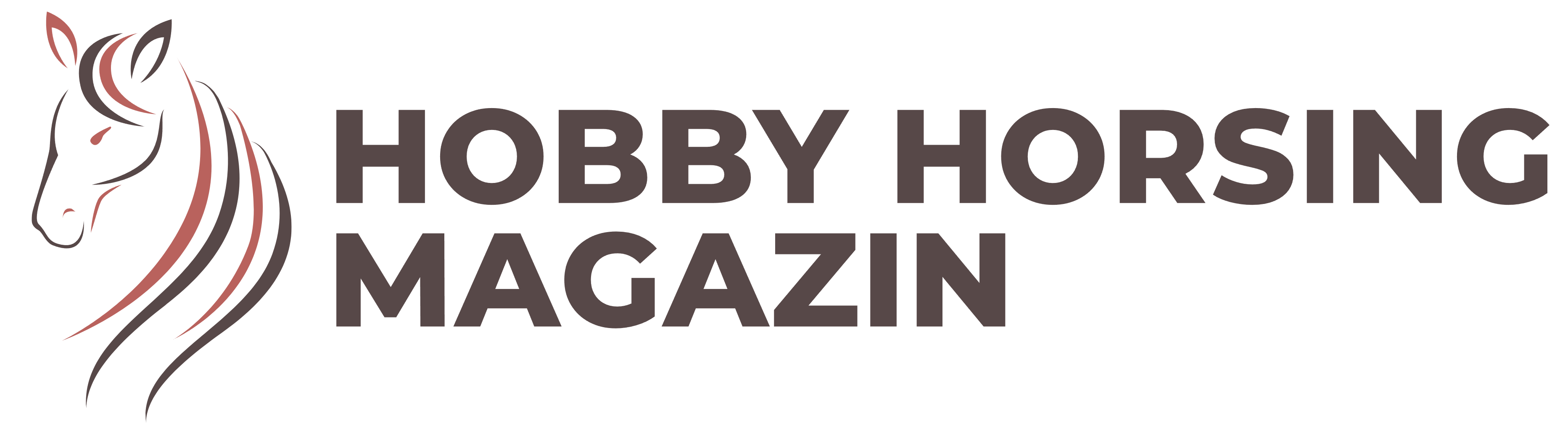 Hobby Horsing Magazin