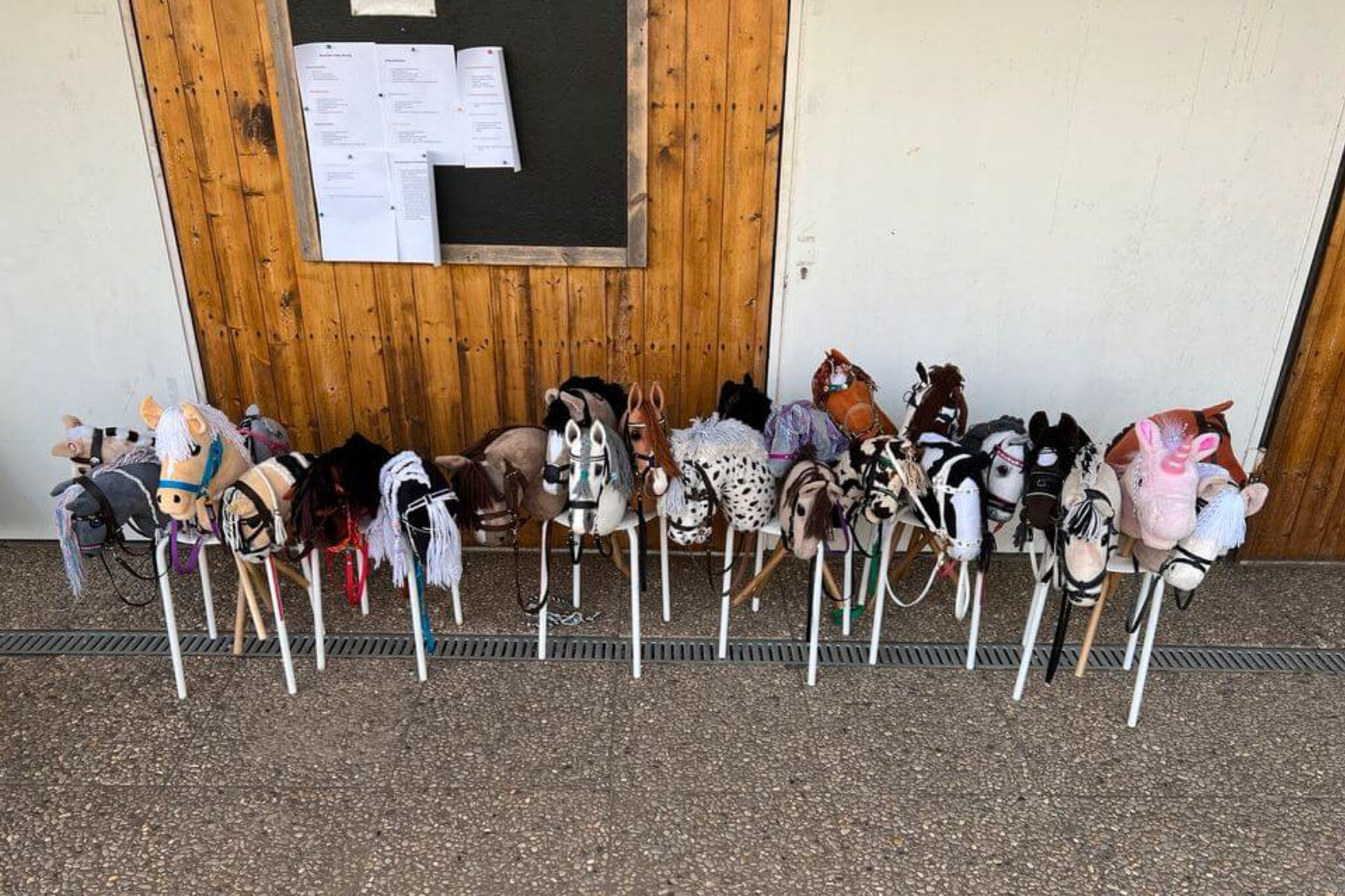  Foto zu Hobby Horsing Trainer-Seminar- ONLINE - 19.11.2023 ab 10 Uhr 