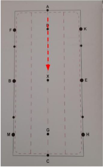 Skizze - Einreiten, X halten -Beispiel Element Dressurstufe 1 - WBO 2024