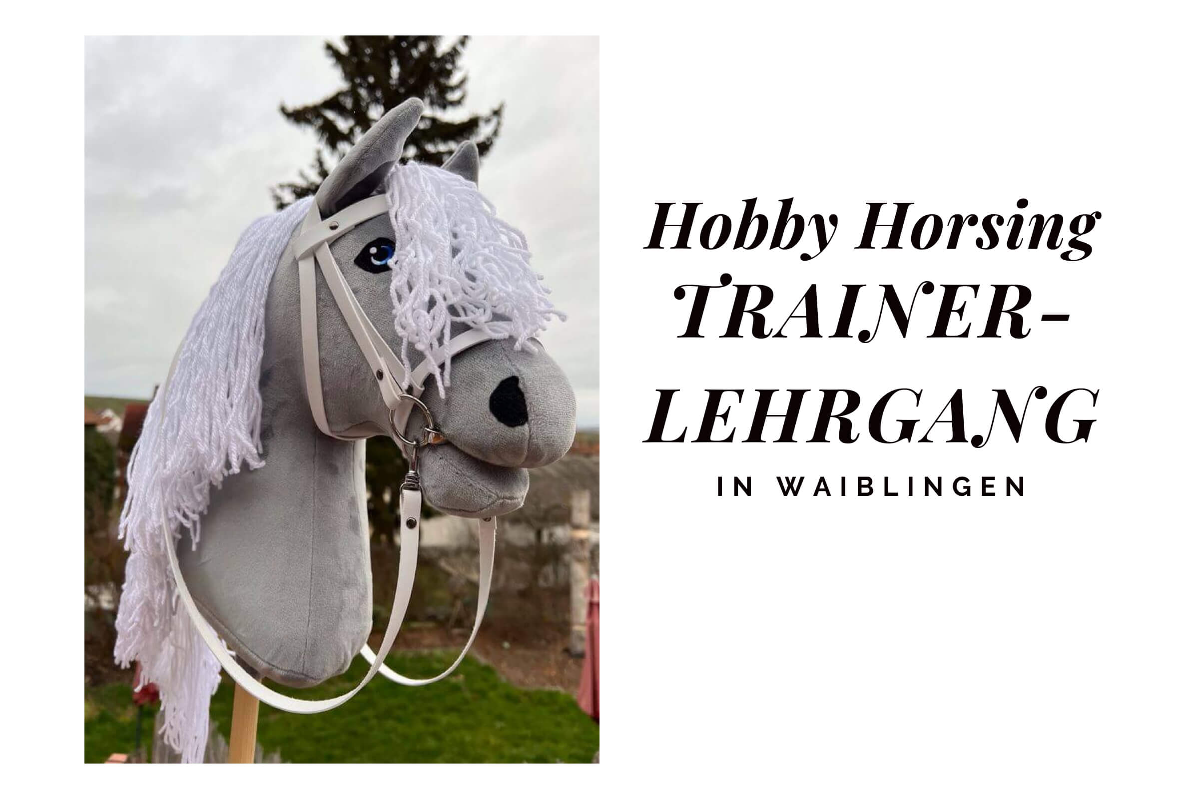 Hobby Horsing Trainerlehrgang in Waiblingen