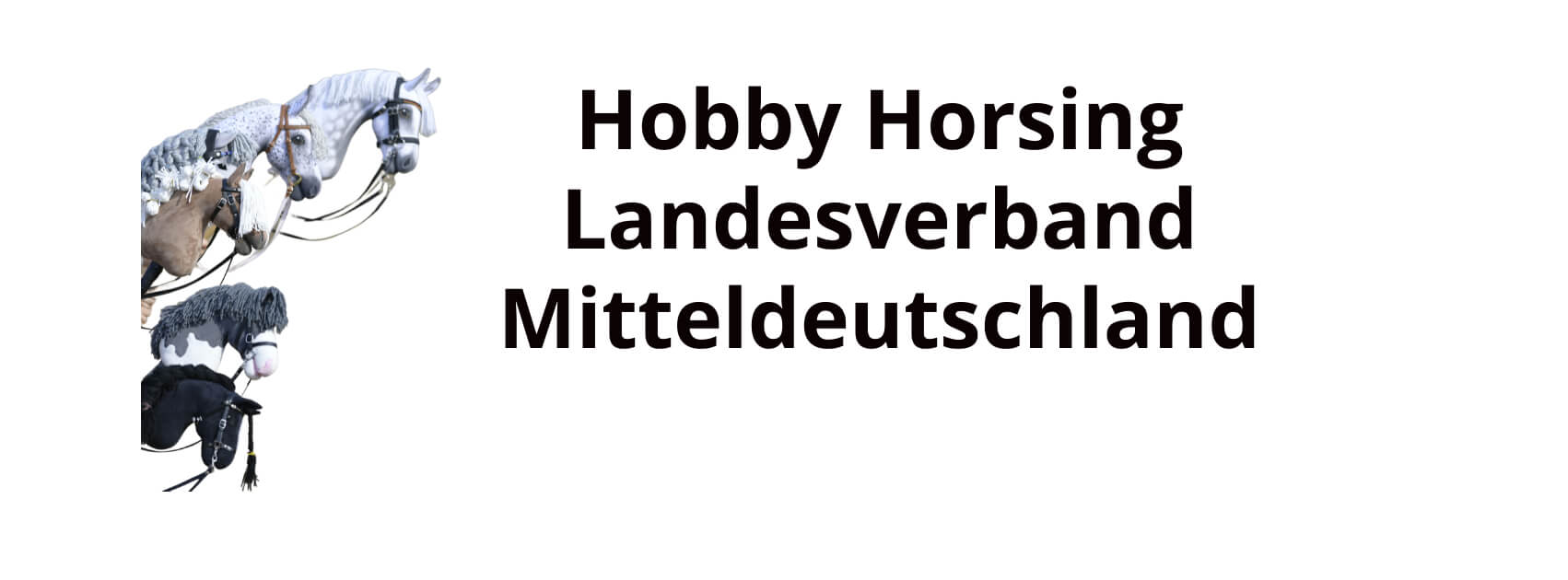 Titelbild für den Artikel Neugründung des HHLVMD