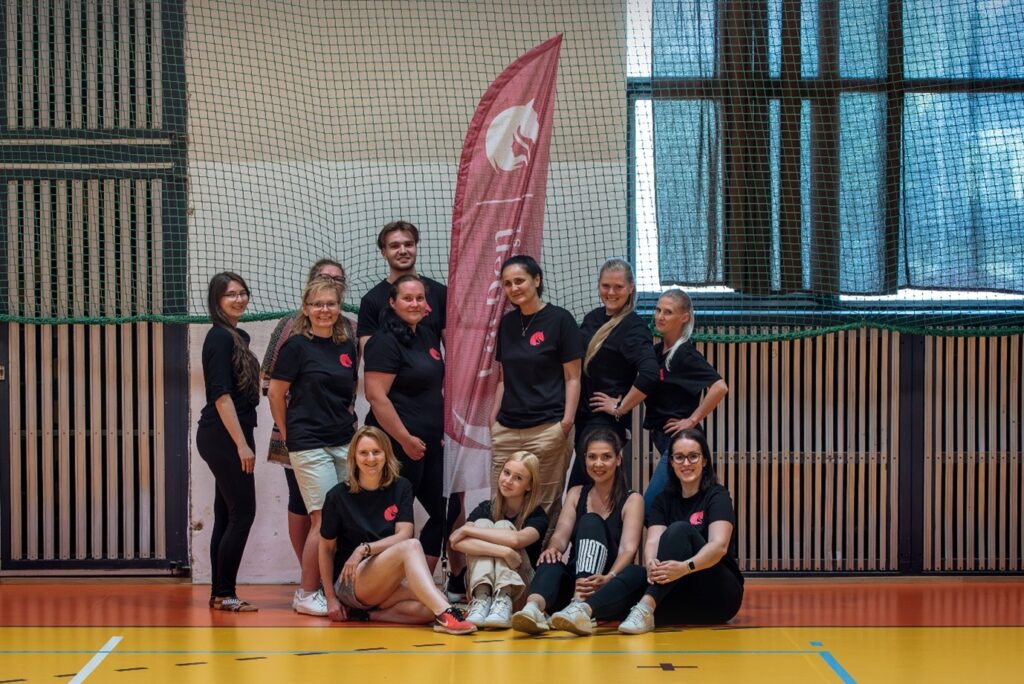 5 Jahre Hobby Horses und Zubehör