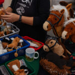 Fachmesse für Hobby Horsing – Expo 2026