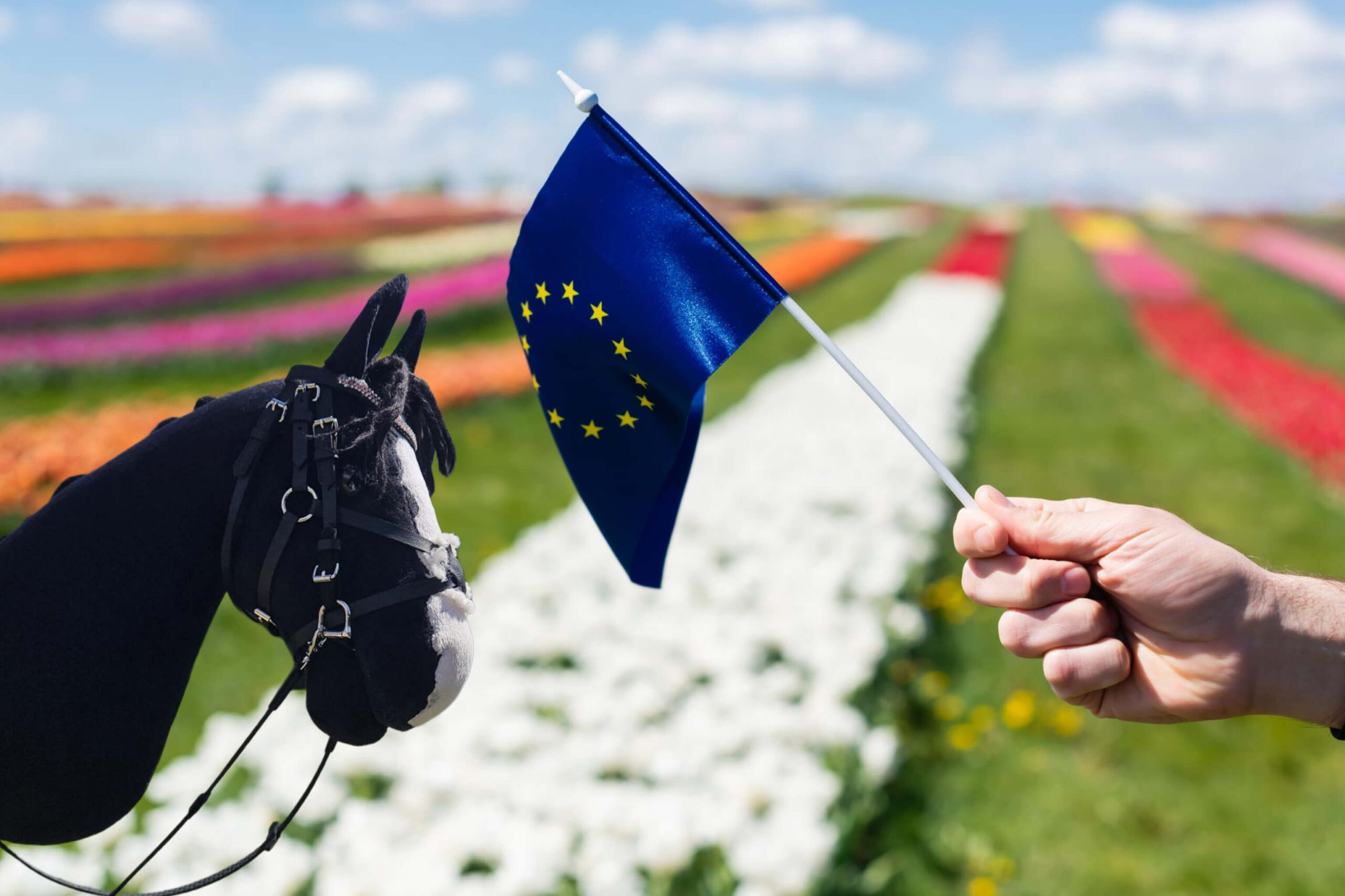 Beitragsbild_Hobby Horsing Europameisterschaft_Top News